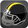 Football Fan: Steelers Edition